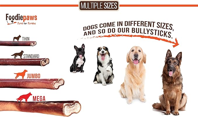 FOODIEPAWS 6 Inch Jumbo Bully Sticks for Dogs, 15 Pack | High Protein, All Natural Grass-Fed Beef Chews | Rawhide-Free, Fully Digestible & Long Lasting Treats | Perfect for Large Dogs