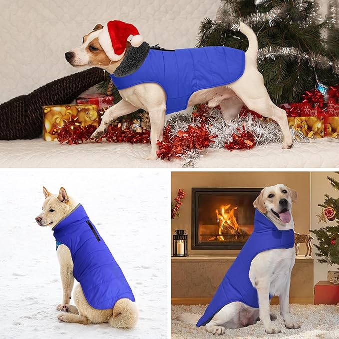 Dog Winter Coat, Waterproof Dog Jacket with Leash Hole, Reflective Adjustable Pet Snow Vest, Warm Fleece Sweater for Small Medium Large Dogs - Blue, S