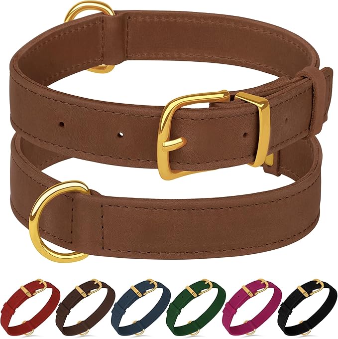 Leather Dog Collar - Heavy Duty Adjustable Soft Padded Pet Collars for Small Medium Large Dogs Breed - Black Green Brown Pink Red Blue (Cognac, L, 15"-19" Neck Fit)