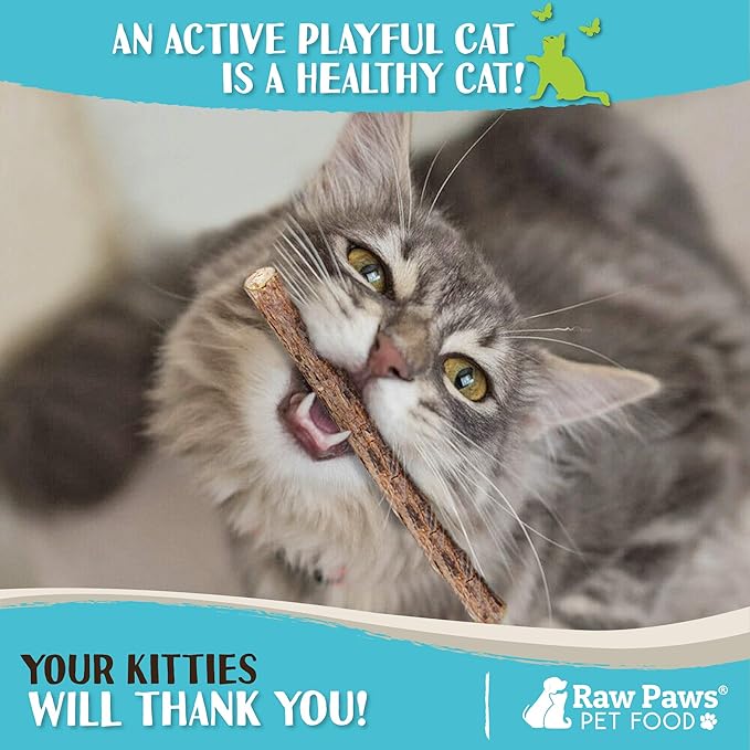 Raw Paws Silvervine Sticks for Cats (30 Pack) - Silvervine Cat Toy for Indoor Cats - Catnip Sticks - Silver Vine Cat Chew Stick