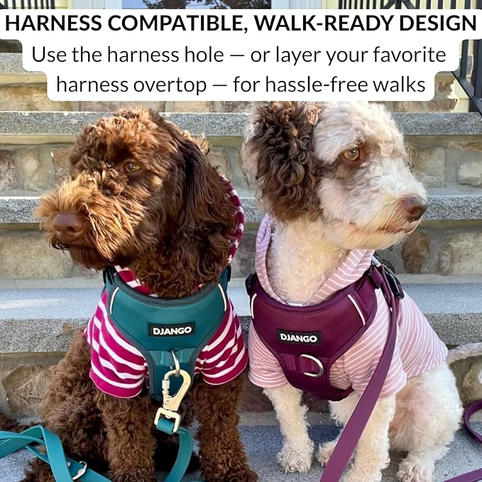 DJANGO Dog Hoodie – Warm, Lightweight, Soft & Stretchy Dog Sweater with Hood, Harness Hole & Elastic Waistband – Cozy Sweatshirt for Small Dogs up to 25 lbs, Dachshunds & Puppies – Blush Pink, X-Small