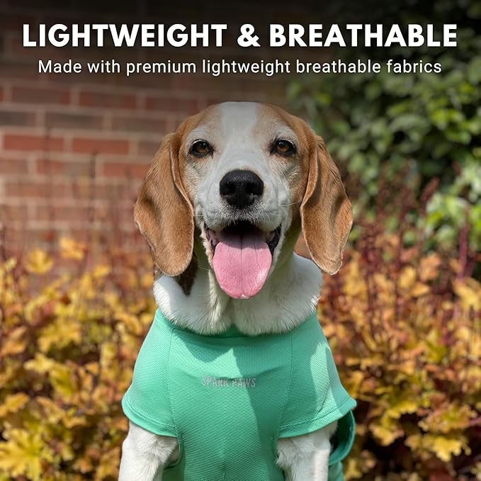 Spark Paws Sunblock Dog T-Shirt, SPF30 Protection, Lightweight Breathable Quick Dry for Dogs with Sensitive Skin - Blue & Mint (Set of 2) - 3XL