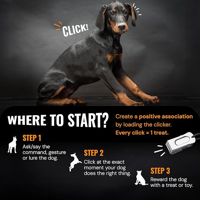 Dog Clicker Black & White (10 Pack) - Clickers for Pet Training - Dog Training & Behavior Aids Easy to Carry with You Anywhere - Teach Your Dog Tricks or Reward His Behavior