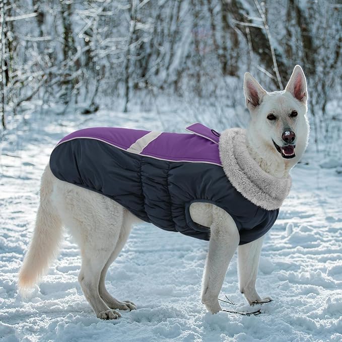 Queenmore Waterproof Dog Coat for Small Dogs,Reflective Windproof Dog Jackets with Leash Hole,Winter Dogs Coat with Zipper On Back,Warm Snowsuit with Fleece Lining（Purple,XS