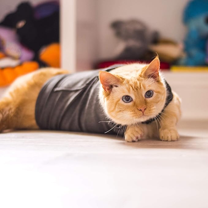ThunderShirt Classic Cat Anxiety Jacket, Solid Gray, Small