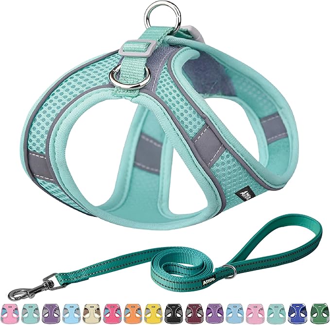 AIITLE Comfortable Dog Harness and Leash Set for Walking - Summer Step in Vest Harness,Reflective Bands, Adjustable No Pull Puppy Essentials, for Small Dogs and House Cats Pure Turquoise XS