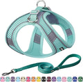 AIITLE Easy Walk Dog Harness and Leash Set - Pet Supply No Pull, Step in Adjustable Pet Harnesses with Padded Vest for Summer, No Choke Over, Easy to Put on Medium Dogs Pure Turquoise L