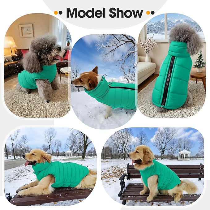 Dog Coats for Small Dogs, Warm Dog Puffer Vest for Winter Waterproof, Lightweight Down Pet Coats with Zipper & Neck Wrap, Warm Jacket for Dachshund, West Highland White Terrier, Green S