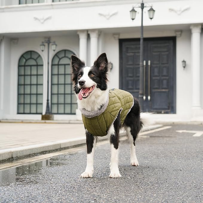 Warm Fleece Dog Coats with Durable Harness Buitl in D-Ring,Waterproof Puppy Jacket for Small Dogs,Dog Vest for Cold Winter,Green S