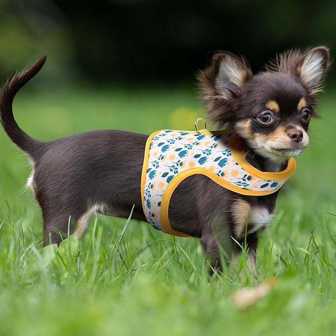 Mile High Life Dog Harness, Air Mesh Floral Vest Harness for 20 lbs Small Dogs & Cats, Easy Get on Adjustable Easy Closures Both Neck and Chest(Yellow Flower, XS Chest 14"-16")
