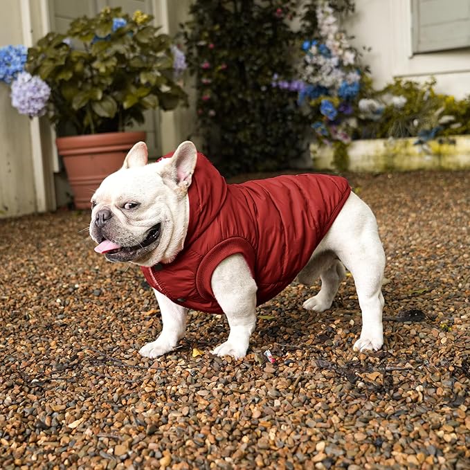 Dog Hoodie in Winter for Medium Dogs Jacket Pet Coats with Hooded, Red L