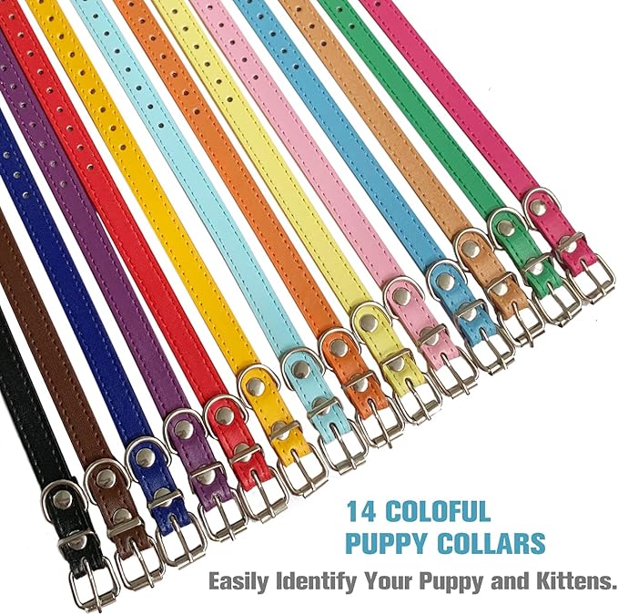 Puppy Collars for Litter - 12 Color Adjustable ID Collar Identification Leather Small Dog Collars for Puppy Medium Large Breed Dogs (M(Neck:11.5"~14.5"))