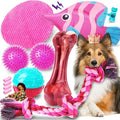 Zeaxuie 12 Pack Heavy Duty Various Dog Chew Toys Pack for Aggressive Chewers - Includes Large Rope Toys, Squeaky Toys & Indestructible Chew Bone for Medium, Large & X-Large Female Dogs