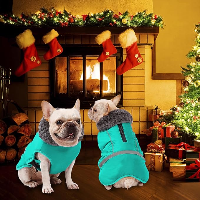 Dogcheer Warm Dog Coat, Waterproof Dog Jacket Christmas Puppy Winter Coat with Buckle, Reflective Adjustable Pet Snow Jacket Turtleneck Fleece Sweater for Small Medium Large Dogs - Pine Green, 2XL