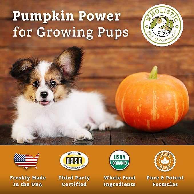 Wholistic Pet Organics Puppy Complete - Dog Multivitamin Powder - 1 Lb - Daily Dog Vitamins & Supplements for Homemade Food - Immune System, Skin, Coat & Overall Health - Small and Large Breed Puppies