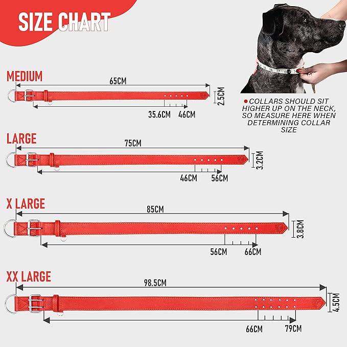 Riparo Dog Collar - Genuine Leather Dog Collars - Heavy Duty Dog Collars for Medium Large and Extra Large Dog Breeds (XXL: 1.75” Wide for 26” - 31” Neck, Red)