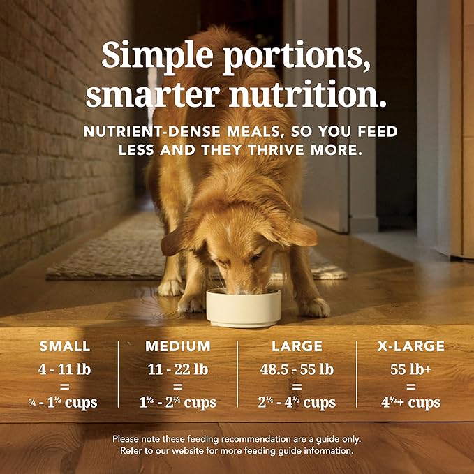 K9 Natural Lamb Freeze Dried Dog Food, High-Meat Natural Complete Meal or Meal Toppers for Dogs, Grass-Fed Lamb from New Zealand, Grain-Free, GMO-Free, Complete & Balanced Nutrition, 3.5oz