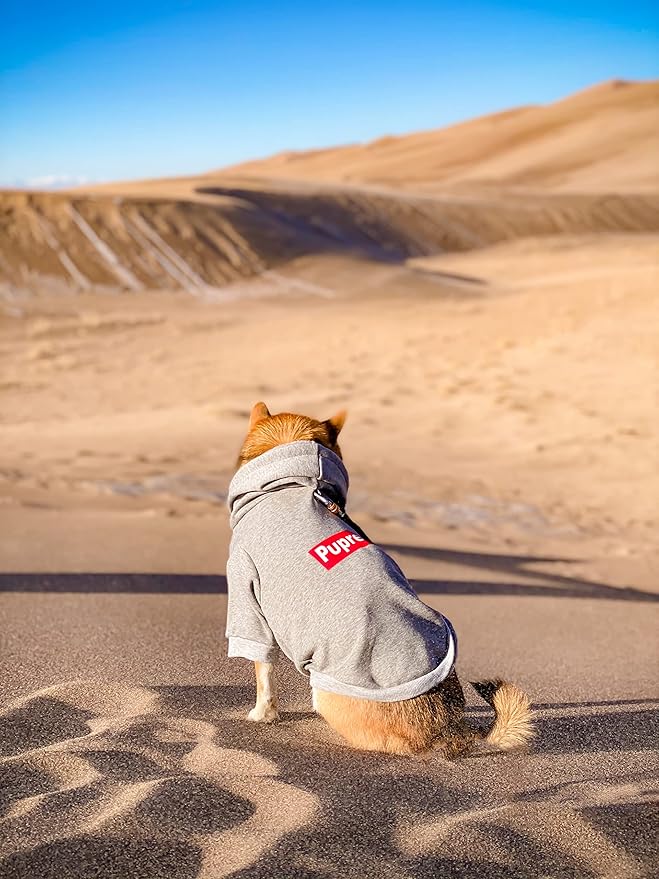 ChoChoCho Pup Dog Hoodie, Sweater, Fashion Clothes, Pet Clothing Cotton Cat Hoodies Stylish Streetwear Sweatshirt Gray Tracksuits Outfit for Puppy Small Medium Large (2XL)