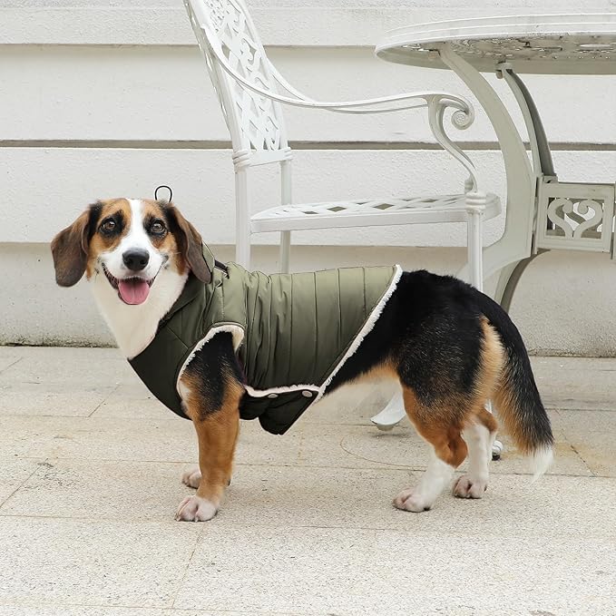 Fleece Lining Dog Hoodie with Harness Built in,Extra Warm Large Dog Jacket in Winter Doggie Coats with Drawstring Hooded,Green XXL