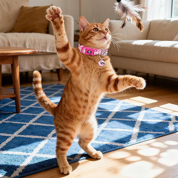 Pink Puppy Collar with Bell - Reflective Adjustable Nylon Kitten-Safe Collar for Small Dogs & Cats, Soft Flower Pattern Design for Teacup Chihuahua, Pomeranian, and Kittens (X-Small, Flower)