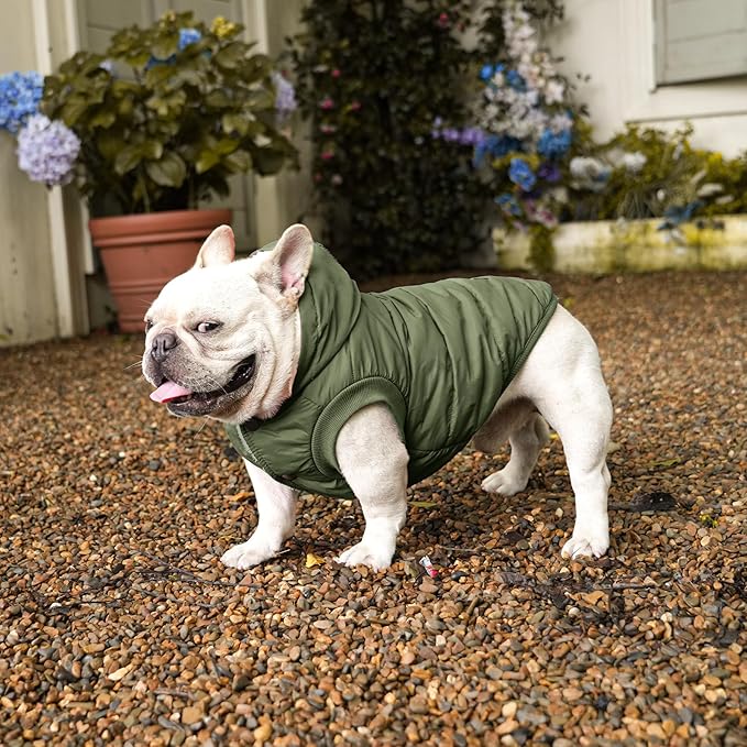 Fleece Lining Extra Warm Dog Hoodie in Winter,Small Dog Jacket Puppy Coats with Hooded Green S