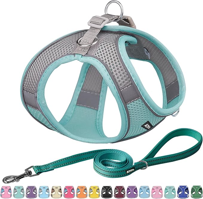 AIITLE Comfortable Dog Harness and Leash Set for Walking - Summer Step in Vest Harness,Reflective Bands, Adjustable No Pull Puppy Essentials, for Small Dogs and House Cats Turquoise XS