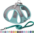 AIITLE Dog Harness, Summer No-Pull Cat Harness with a Leash, Adjustable Reflective Dog Vest, Cat Harness Escape Proof, Outdoor Walking, Camping for Extra Small Dogs and House Cats Turquoise XXXS