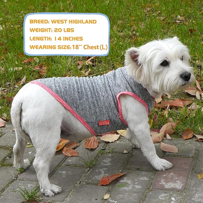 KYEESE 2 Pack Dog Shirts Quick Dry Soft Stretchy Dog T-Shirts with Reflective Label Tank Top Sleeveless Vest Sun Protection Pet Clothes for Small Pet, Coral Red+Grey, L
