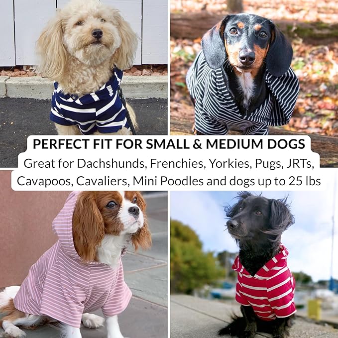 DJANGO Dog Hoodie – Warm, Lightweight, Soft & Stretchy Dog Sweater with Hood, Harness Hole & Elastic Waistband – Cozy Sweatshirt for Small Dogs up to 25 lbs, Dachshunds & Puppies – Navy Blue, Small