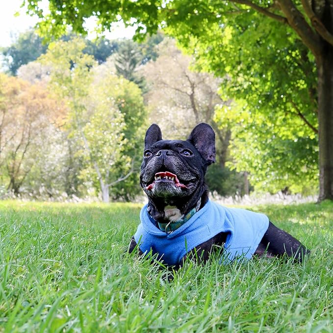 JACKO & CO - Fleece Vest Dog Sweater with Leash Ring - Soft, Warm & Lightweight Pullover Coat for Small & Medium Dogs, Puppies & Cats - Cozy Fall/Winter/Spring Pet Jacket (Blue, XX-Large 25-35lbs)