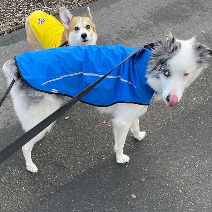 Mile High Life Dog Raincoat, Adjustable Waterproof Reflective Rain Jacket for Small Medium Large Dogs, Lightweight Breathable Pet Rain Coat with Leash Hole(Blue,S Chest 22-25")