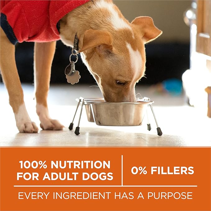 Purina One +Plus Dry Dog Food High Protein Healthy Weight, Real Turkey - 40 lb Bag