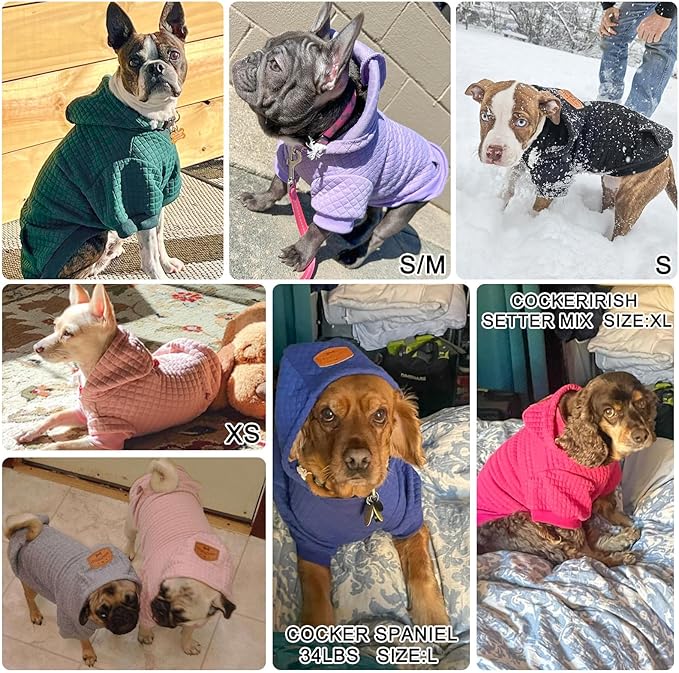 BEAUTYZOO Small Dog Hoodie Sweater with Pockets, Dog Clothes for Small Medium Dogs Boy Girl, Waffle-like Laminated Cotton Pet Coats with Hat and Leash Hole, All Weather Coat for Puppy Doggie Chihuahua