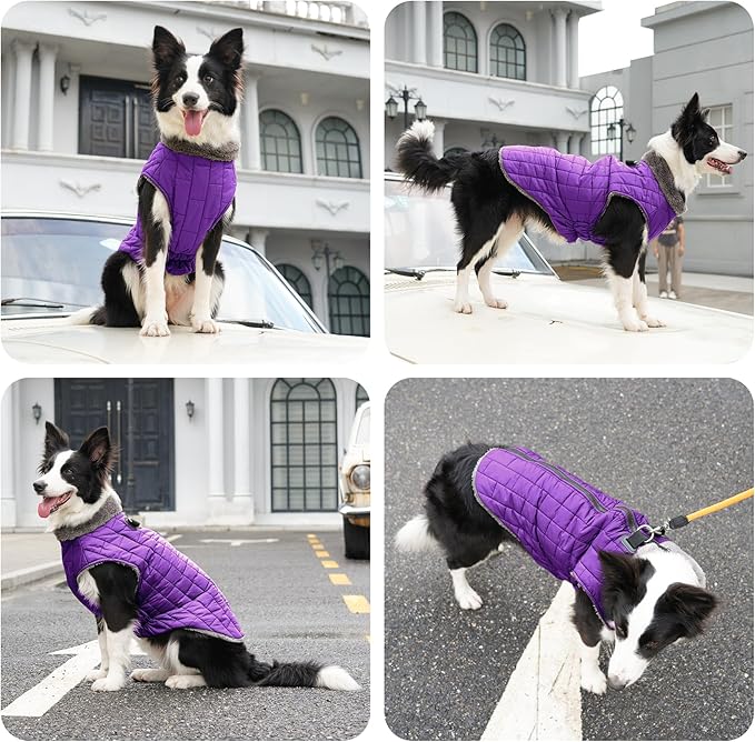 Warm Fleece Dog Coats with Durable Harness Buitl in D-Ring,Waterproof Puppy Jacket for Small Dogs,Dog Vest for Cold Winter,Purple M