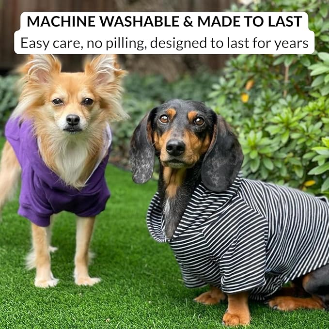 DJANGO Dog Hoodie – Warm, Lightweight, Soft & Stretchy Dog Sweater with Hood, Harness Hole & Elastic Waistband – Cozy Sweatshirt for Small Dogs up to 25 lbs, Dachshunds & Puppies – Black, Small