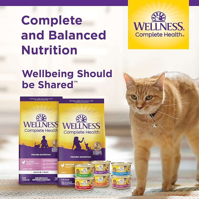 Wellness Complete Health Adult Dry Cat Food for Indoor Cats, Grain Free, Natural, Healthy Weight Chicken & Turkey Meal (5.5 Pound Bag)
