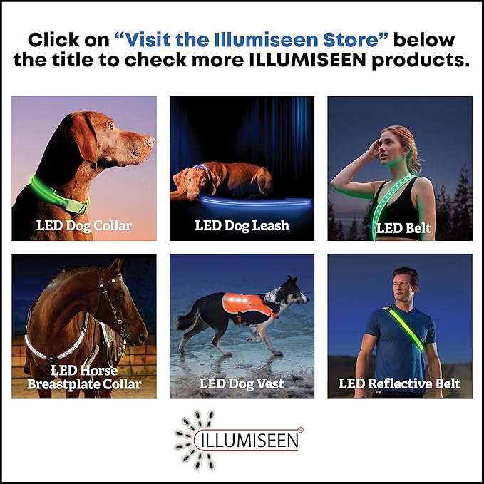 ILLUMISEEN LED Dog Collar USB Rechargeable - Bright & High Visibility Lighted Glow Collar for Pet Night Walking - Weatherproof, in 6 Colors & 6 Sizes (Blue Large)