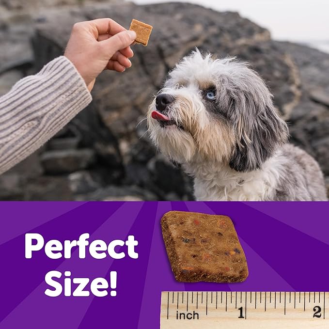 Wellness Rewarding Life Dog Treats, Training Treat, Grain Free, Soft Beef & Turkey (6 Ounce Bag)