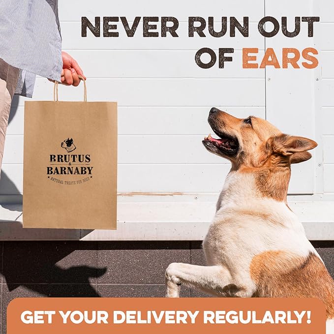 BRUTUS & BARNABY Pig Ear Halves for Dogs, 15 Ct. – All-Natural Single Ingredient Dog Chews, Slow Cooked & Fully Digestible Rawhide Alternative
