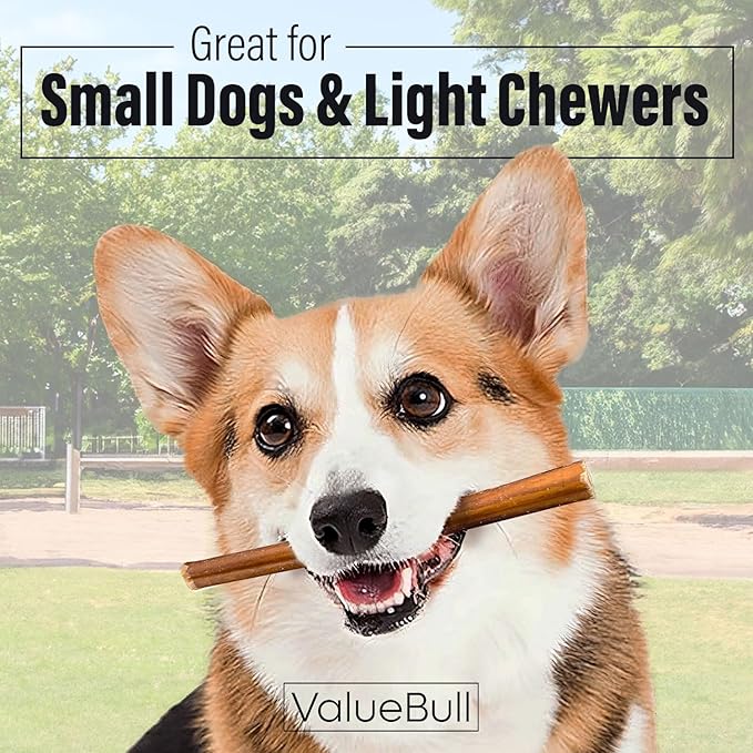 ValueBull Bully Sticks for Small Dogs, Thin 6 Inch, 25 Count - All Natural, Grass Fed, Single Ingredient, Long Lasting Dog Treats
