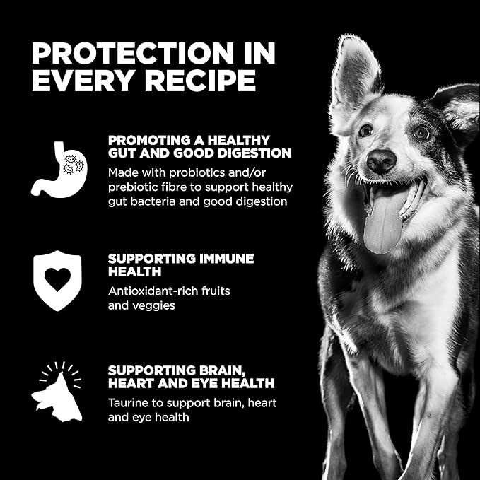 Go! Solutions Sensitivities Limited Ingredients, Grain-Free Dry Dog Food, Turkey Recipe for Sensitive Stomach, 3.5 lb Bag