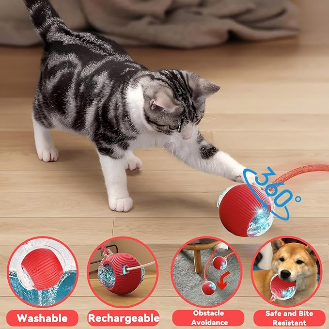 Interactive Cat Toys for Indoor Cats, Automatic Cat Toy with Elastic Mesh Tail, Electric Rolling Ball on Carpet, Chirping and Motion Activate Cat