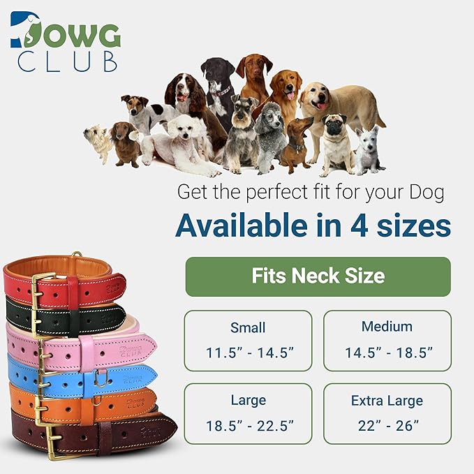 Leather Dog Collar for Medium Dogs, Blue, 1 Inch Wide, Genuine Leather, Heavy Duty with Soft Inner Padding, Comfortable and Durable (Medium (Fit Neck Size 14.5"-18.5"), Blue)