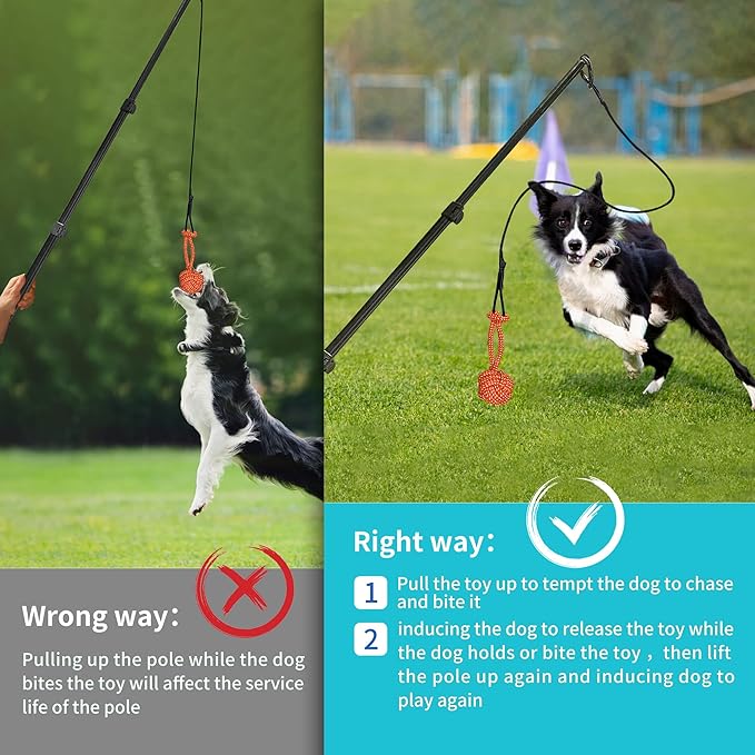 Flirt Pole for Dogs: Durable Dog Rope Toy for Small Medium Large Dogs - Interactive Dog Toys Chase and Tug of War - Lure Chewing Toy for Outdoor Exercise Training