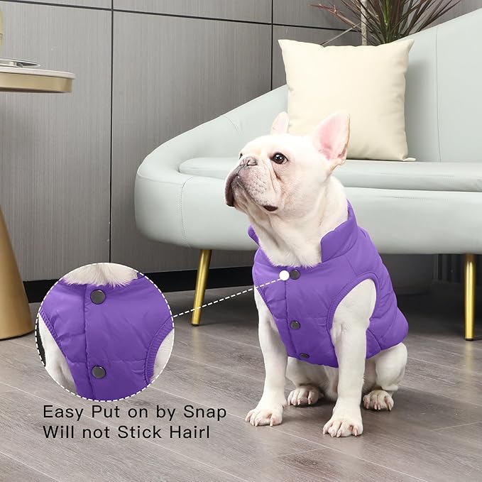 2 Layers Fleece Lined Warm Dog Jacket for Puppy Winter Cold Weather,Soft Windproof Small Dog Coat,Purple M