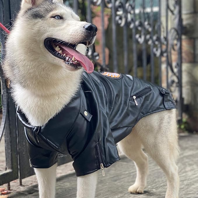 Lovelonglong Cool Dog Leather Jacket, Warm Coats Dogs Windproof Cold Weather Coats for Large Medium Small Dogs with Eagle Embroidery Black L-M