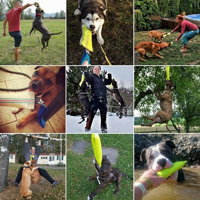 Dog Bite Tug Toy 10 inches - Durable, Interactive Toys for Medium to Large Dogs - Perfect for Tug of War, Fetch & Puppy Training - Safe Fire Hose Dog Tug with Strong Handle - Tough Floating Pull Toy