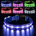 PcEoTllar Light Up Dog Collars, Led Dog Collar, Rechargeable, Night Walking, Waterproof, Glow in The Dark Dog Collars Light for Large Small Medium Dogs, Blue m