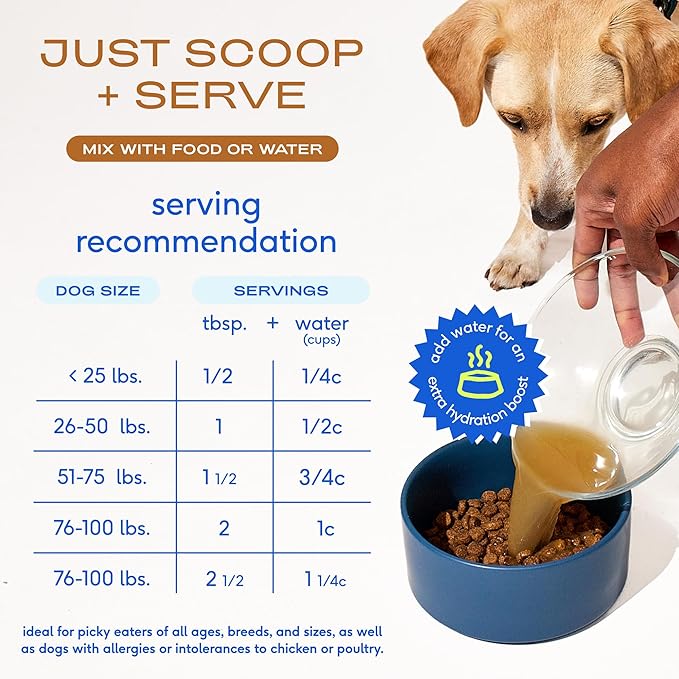 Native Pet Beef Bone Broth for Dogs (4.75 oz) & Organic Pumpkin for Dogs (8 oz.) - Dog Bone Broth Powder Food Topper for Picky Eater and All-Natural, Organic Fiber Pumpkin Powder