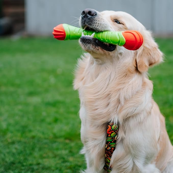 Dingo Toy for Dog, Durable TPR Rubber for chewers, Fetch Toy for Play, Boomerang 9.1", 17395 (Aport dent)